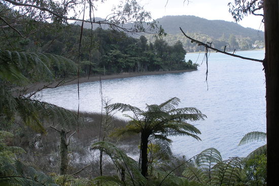 unsere Wanderung um den See bei Rotorua