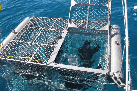 der Deckel blieb immer offen.