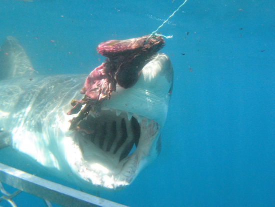 ja....das war ziemlich nah 