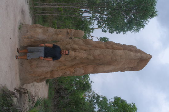 grosser Termitenhuegel