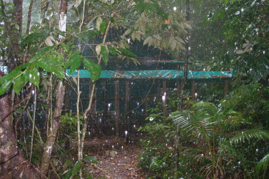 unser Zimmer mitten im Dschungel bei Regen.