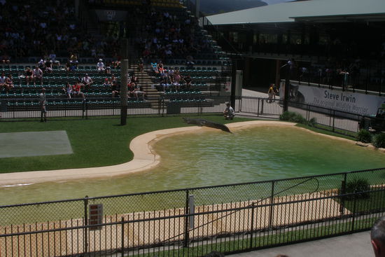 im Crocoseum des Australia Zoo