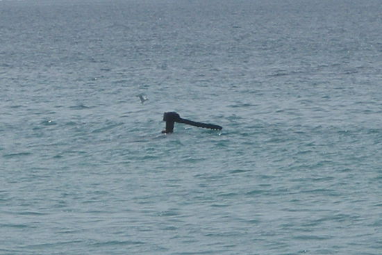 auf diesem Wrack harrten die Maedchen aus.