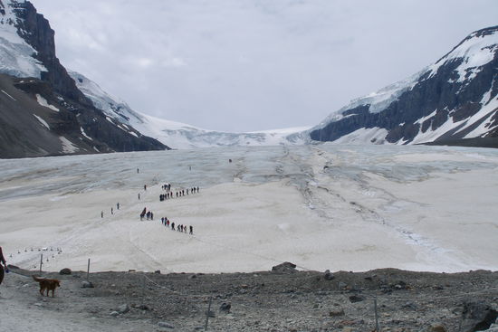 Columbia Icefield