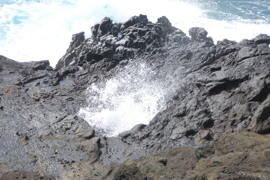 Blowhole