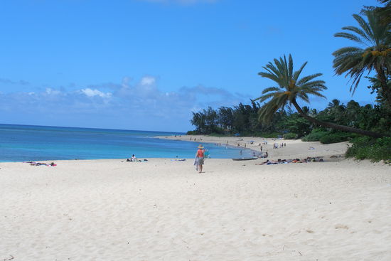 Sunset Beach im Norden. Hier hat es im Winter bis zu 15m hohe Wellen.