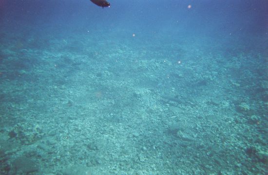 nochmal hai...etwa in der mitte