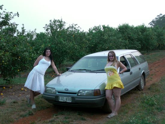 ...unser altes Auto neben einem riesigen Zitronenfeld vor unserem Haus...