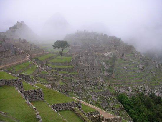 Endlich auf dem Machu angelangt. Leider mit viel Nebel