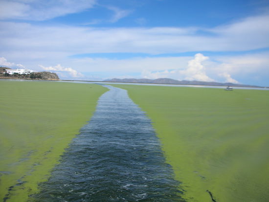 Naja, der See in Peru ist nicht gerade sehr einladend zum schwimmen....