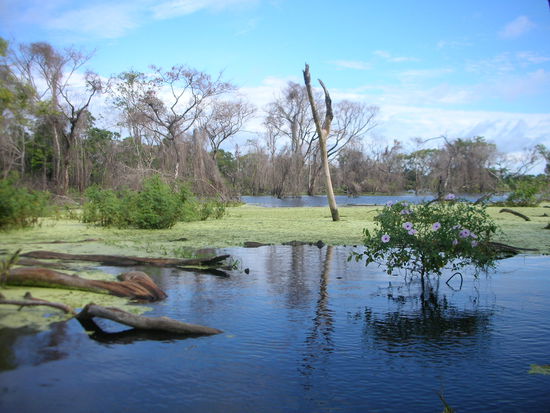 Die Pampa ist wunderschoen
