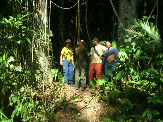 Fertig zum Lianen schwingen...