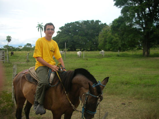 Ich (Andres) auf dem Pferd, und im Hintergrund die Kuehe