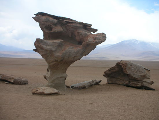 Piedra de arbol