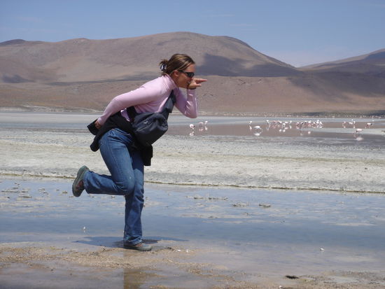 Ich will ein Flamingo sein....