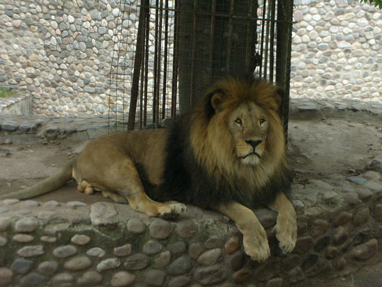 Dieser Herr hier stoerte eben unsere Ruhe....