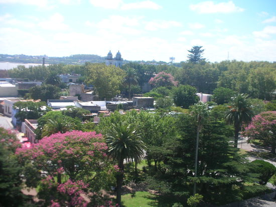 Blick auf das grüne Colonia, vom Faro aus.