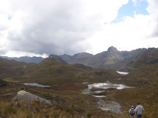 Ein Park mit vielen Seeen