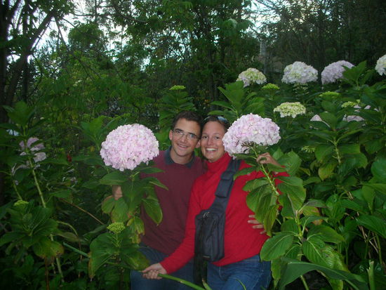 Super genial, Hordenzien Garten...