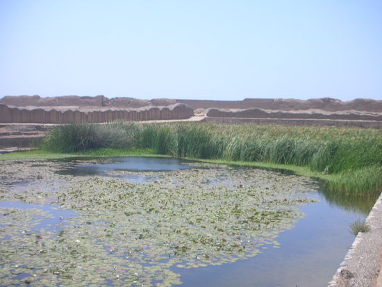 In mitten einer Wueste ....