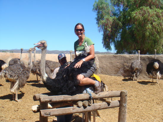 Aufsitzen und los reiten