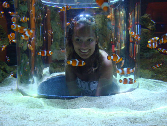 Kuck dir die Suessen Clownfische an. Und erst noch dieser tolle Clownfisch in der Mitte. 