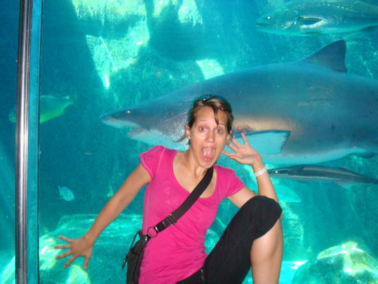 Oh Schreck der Hai.....