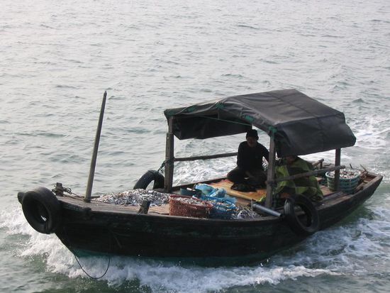 Fischerboot auf dem Weg zum Hafen