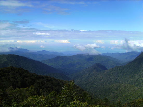 Der Ausblick vom Aussichtsturm am hoechsten Punkt