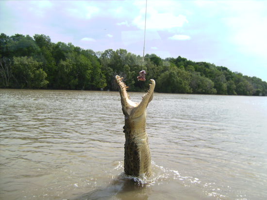 Jaja es hat wirklich grossen Hunger gehabt...