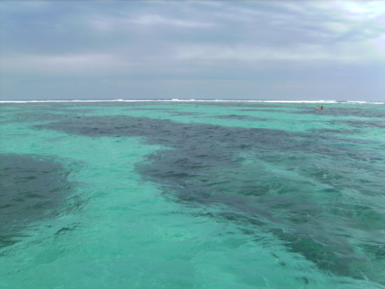 Blick vom Boot auf das die Korallen, die natuerlich unter Wasser viel schoener waren!