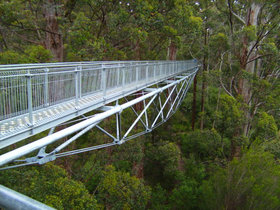 Teil des Tree Top Walks in knapp 40 Metern Hoehe...da geht es wirklich tief hinunter und das ganze Teil schaukelt maechtig im Wind!