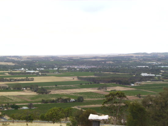Blick aufs Barossa Valley bei diesigem, leicht regnerischen Wetter