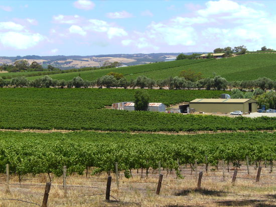 McLaren Vale...die hatten viele sehr gute Weine! 