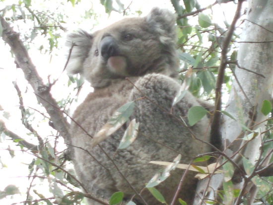 Ist der nicht suess? 