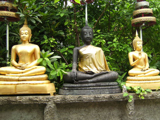 Davon gibt es noch viel mehr in Bangkok!