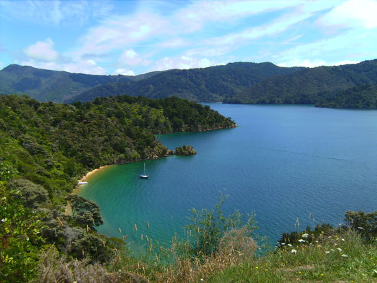In den Marlborough Sounds... 