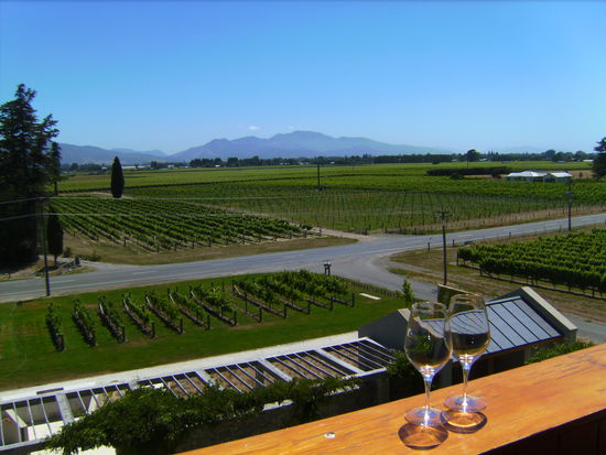 Stilleben mit (unseren) leeren Weinglaesern nahe Blenheim 