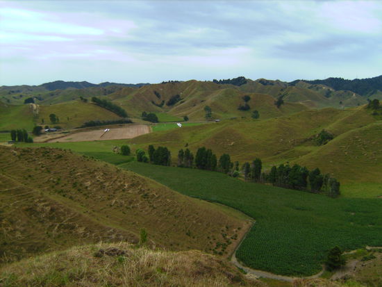 Typisches Landschaftsbild auf dem "Forotten World Highway"...wie im Bilderbuch 
