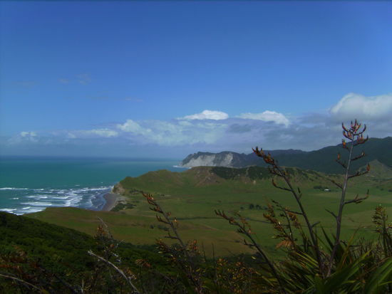 Ausblick vom East Cape Leuchtturm auf die umliegende Landschaft