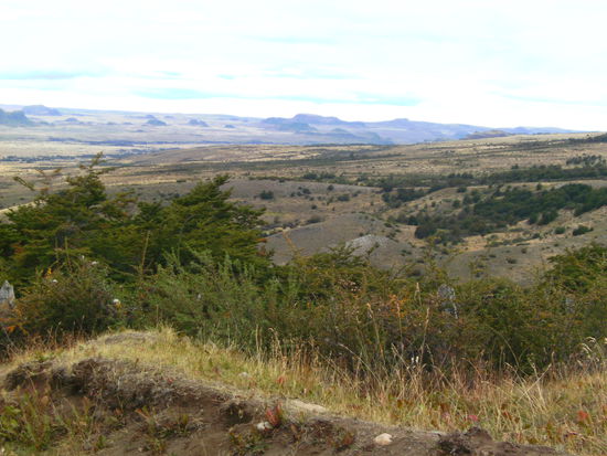 ...und im argentinischen Patagonien