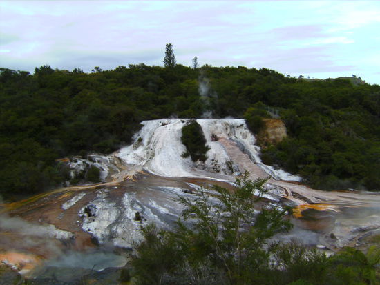 Es dampft und zischt und brodelt in Orakei Korako 