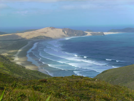 Blick vom Cape Reinga auf die Tasmansee
