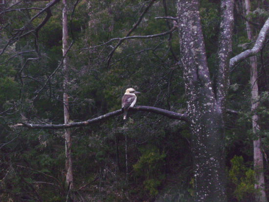 ...und von der Seite 