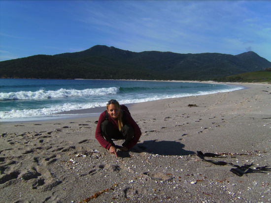 On the Beach...wie immer auf Muschelsuche 