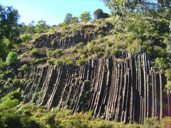 Organ Pipes 