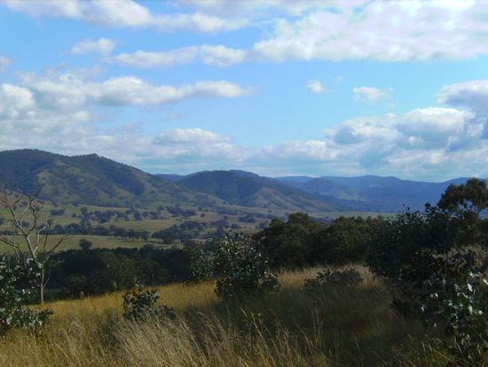 Entlang der Great Alpine Road... 