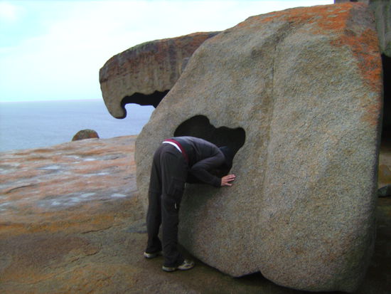 Wem gehört denn dieser Popo? 