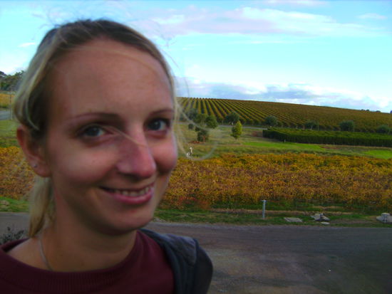 Ein Bild sagt mehr als 1000 Worte... 