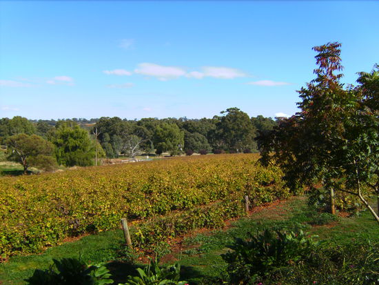 Clare Valley
